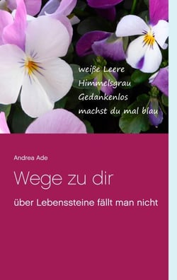 Wege zu dir - über Lebenssteine fällt man nicht