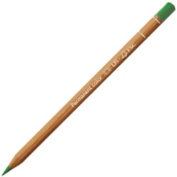 Crayon Luminance -  vert prairie