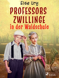 Professors Zwillinge in der Waldschule - Erzählung für die Jugend