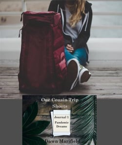 Our Cousins Trip Shorts Journal 1 Pandemic Dreams - Our Cousin Trip Shorts
