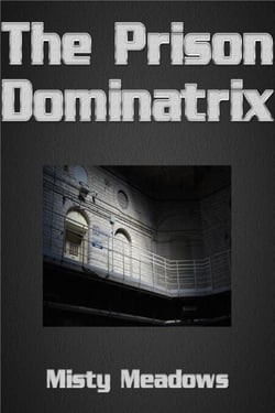 The Prison Dominatrix (Femdom)