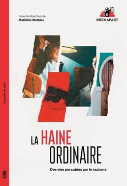 La Haine ordinaire - Des vies percutées par le racisme