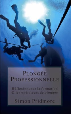 Plongée Professionnelle - Réflexions sur la formation &amp; les opérateurs de plongée - La Série Plongée, #4