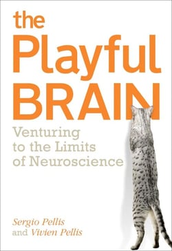 The Playful Brain - Venturing to the Limits of Neuroscience