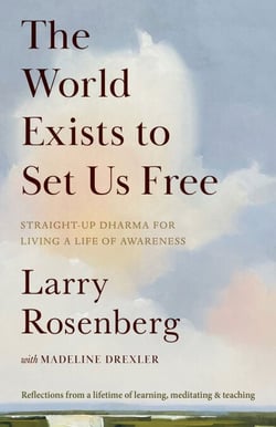 The World Exists to Set Us Free - Straight-Up Dharma for Living a Life of Awareness