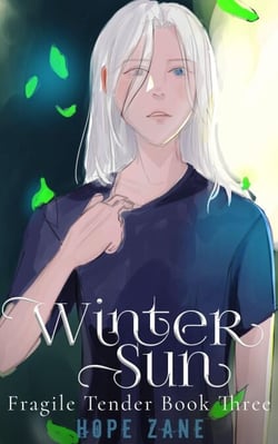 Winter Sun - Fragile Tender, #3