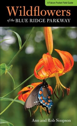 Wildflowers of the Blue Ridge Parkway - A Pocket Field Guide