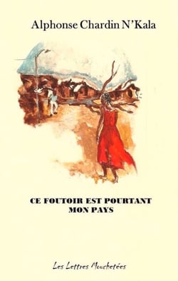 Ce foutoir est pourtant mon pays - Un roman saisissant