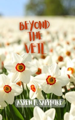 Beyond the Veil - Speedlit