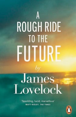 A Rough Ride to the Future