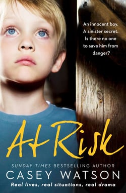 At Risk - An innocent boy. A sinister secret. Is there no one to save him from danger?