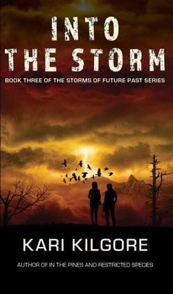 Into the Storm - Storms of Future Past, #3