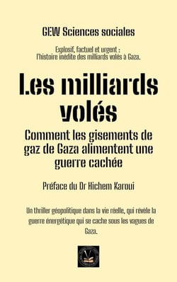 Les milliards volés: Comment les gisements de gaz de Gaza alimentent une guerre cachée - Les Cahiers de la Méditerranée