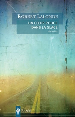 Un coeur rouge dans la glace