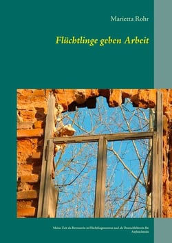 Flüchtlinge geben Arbeit - Meine Zeit als Betreuerin in Flüchtlingszentren und als Deutschlehrerin für Asylsuchende