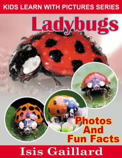 LadyBugs Photos and Fun Facts for Kids - Kids Learn With Pictures, #131