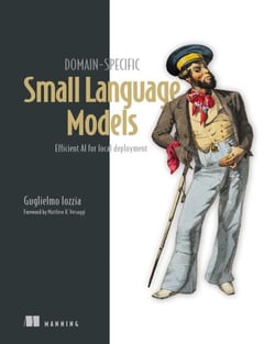 Domain-Specific Small Language Models - Efficient AI for local deployment