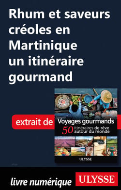 Rhum et saveurs créoles en Martinique - un itinéraire gourmand