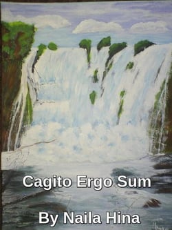 Cagito Ergo Sum