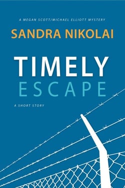 Timely Escape - Megan Scott/Michael Elliott Mystery: A Short Story