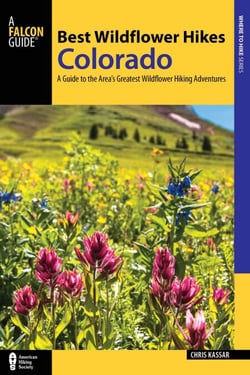Best Wildflower Hikes Colorado - A Guide to the Area's Greatest Wildflower Hiking Adventures