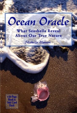 Ocean Oracle - What Seashells Reveal About Our True Nature