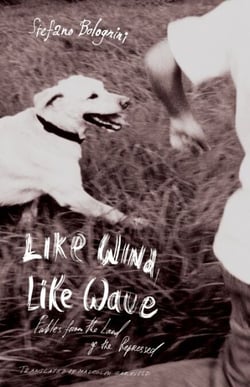 Like Wind, Like Wave - Fables from the Land of the Repressed
