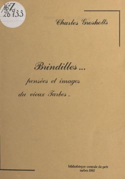 Brindilles : pensées et images du vieux Tarbes
