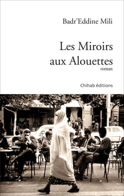 Les Miroirs aux Alouettes - Roman
