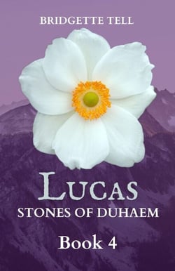 Lucas - Stones of Duhaem, #4