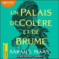 Un palais de colère et de brume - Un palais d'épines et de roses, tome 2 (ACOTAR)