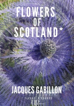 Flowers of Scotland - Roman autobiographique