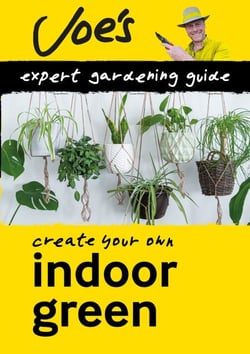Indoor Green - Beginner’s guide to caring for houseplants