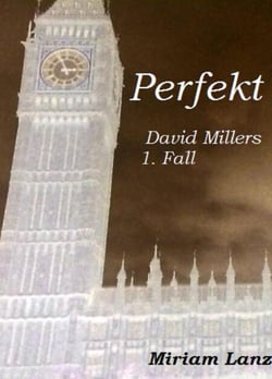 Perfekt - David Millers 1. Fall