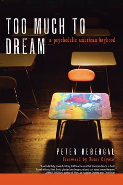 Too Much to Dream - A Psychedelic American Boyhood