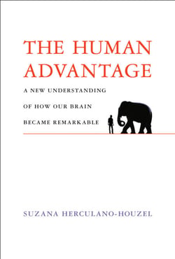 The Human Advantage - A New Understanding of How Our Brain Became Remarkable