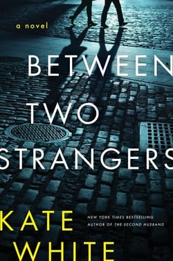 Between Two Strangers - A Novel of Suspense