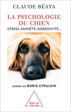 La Psychologie du chien - Stress, anxiété, agressivité…