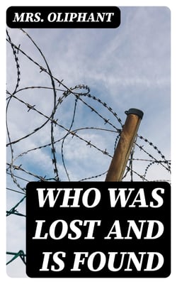 Who Was Lost and Is Found - A Novel
