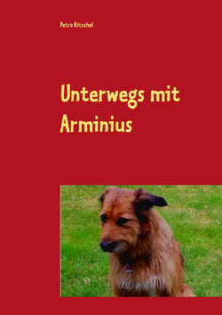 Unterwegs mit Arminius - Melinas unglaubliche Reise in die Vergangenheit