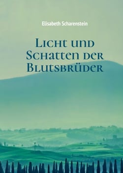 Licht und Schatten der Blutsbrüder - Tatsachenbericht als Kriminalroman mit universellem Tiefgang