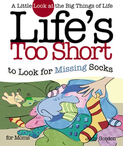 Life's too Short to Look for Missing Socks - A Little Look at the Big Things in Life