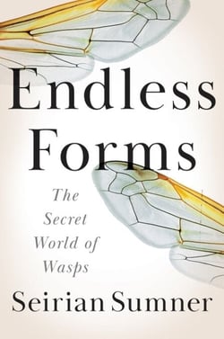 Endless Forms - The Secret World of Wasps