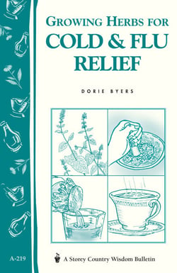 Growing Herbs for Cold &amp; Flu Relief - Storey's Country Wisdom Bulletin A-219