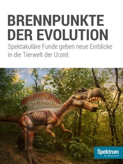 Brennpunkte der Evolution - Spektakuläre Funde geben neue Einblicke in die Tierwelt der Urzeit