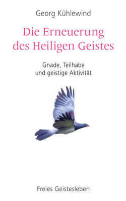 Die Erneuerung des Heiligen Geistes - Gnade, Teilhabe und geistige Aktivität