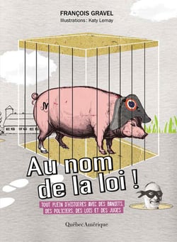 Au nom de la loi - Tout plein d’histoires avec des bandits, des policiers, des lois et des juges