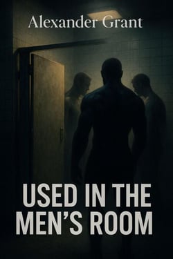 Used in the Men's Room - Shared Heat, #2