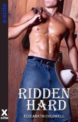 Ridden Hard - Gay erotic fiction