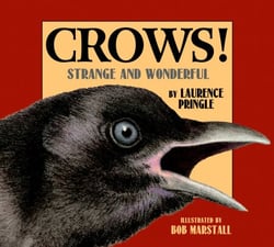 Crows! - Strange and Wonderful